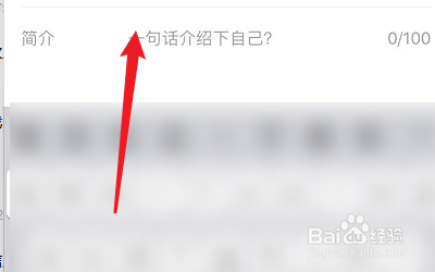 如何设置VUE的简介？