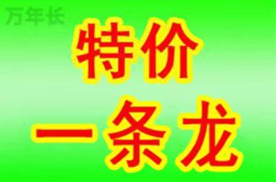 1693706724116454.jpeg 1693550058811757.jpeg